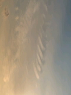 74657.jpg nk_