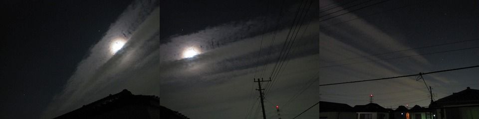 74791.jpg nk_