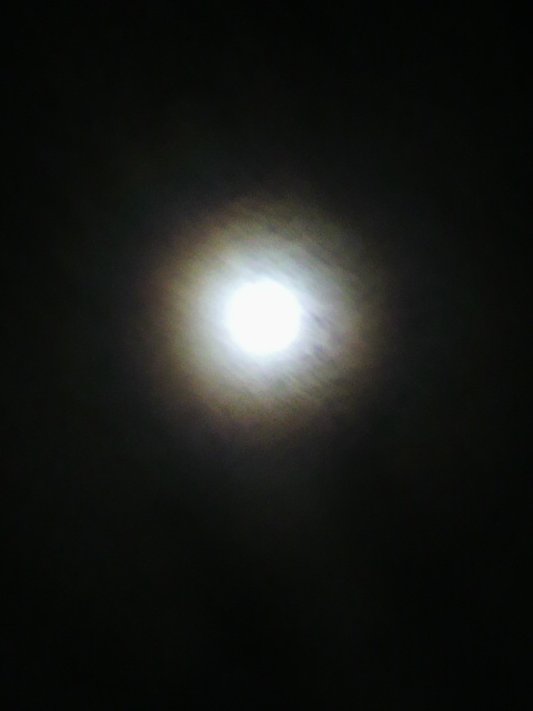 74873.jpg nk_