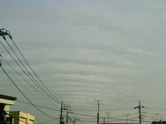 75330.jpg �n�k�_