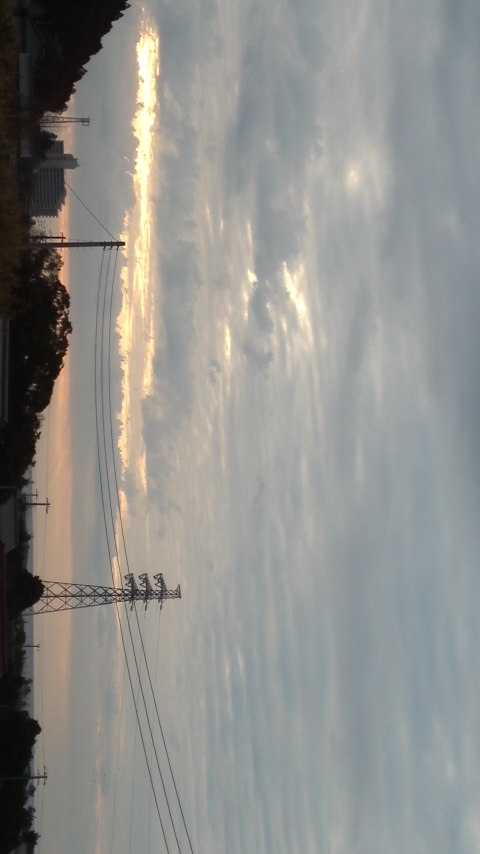 75382.jpg �n�k�_