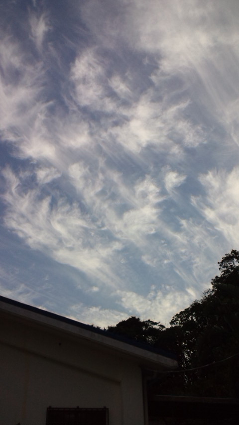 75430.jpg �n�k�_