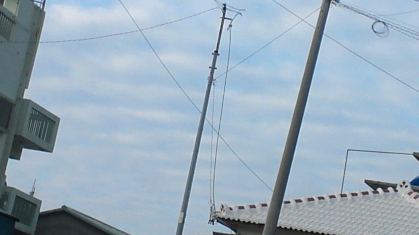 75629.jpg �n�k�_