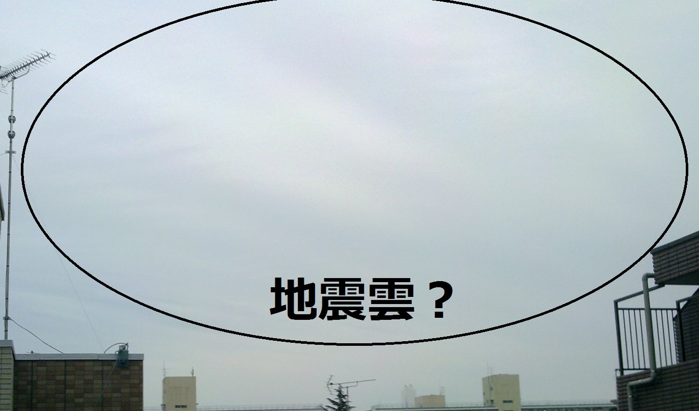75833.jpg nk_