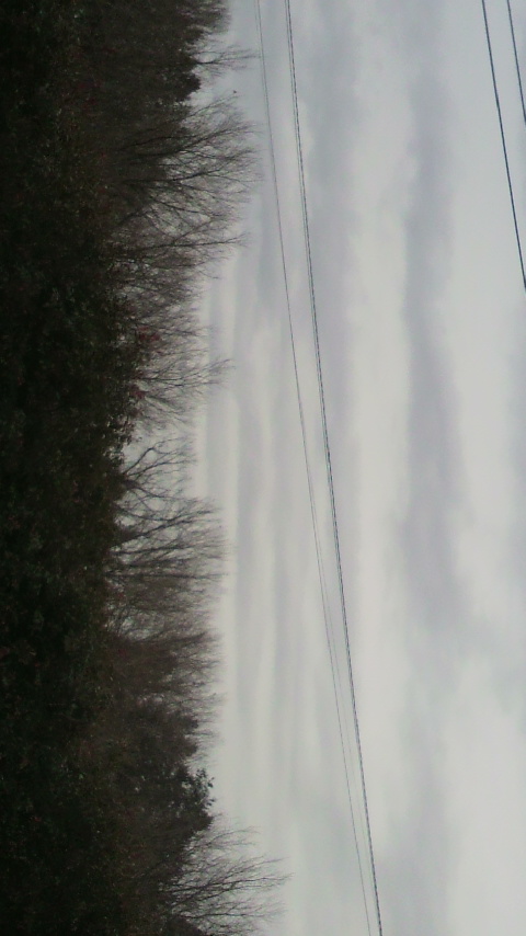 75853.jpg �n�k�_