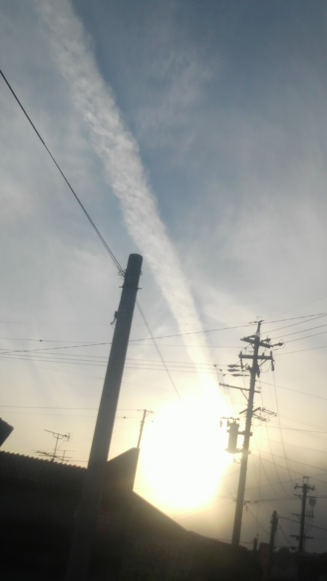 75979.jpg �n�k�_