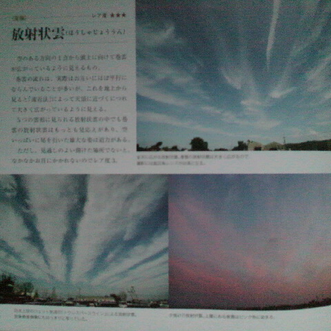 76305.jpg nk_
