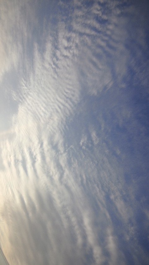 76617.jpg �n�k�_