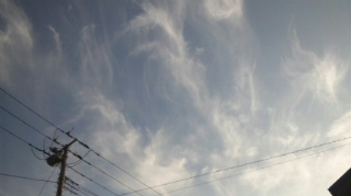 76667.jpg �n�k�_