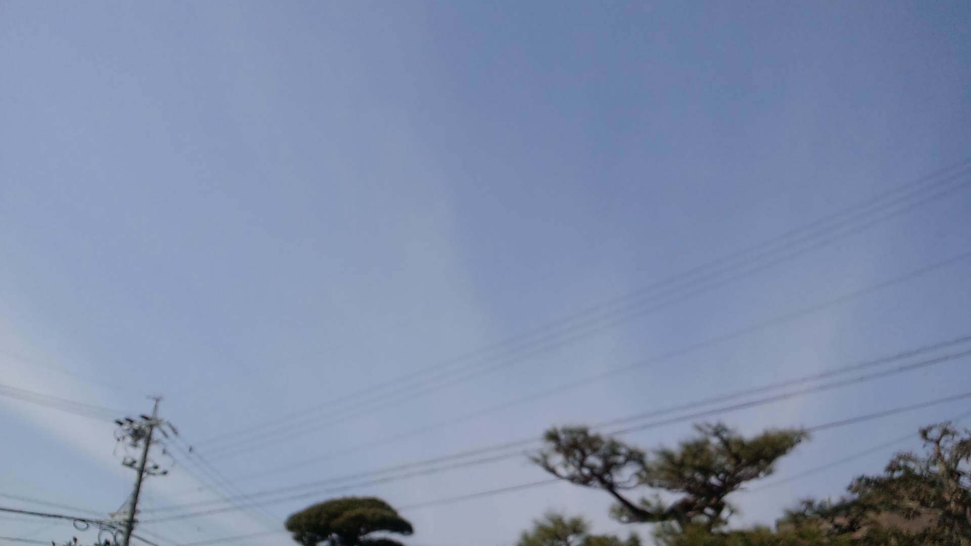 76771.jpg nk_