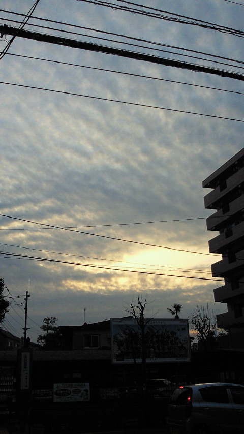 77026.jpg nk_