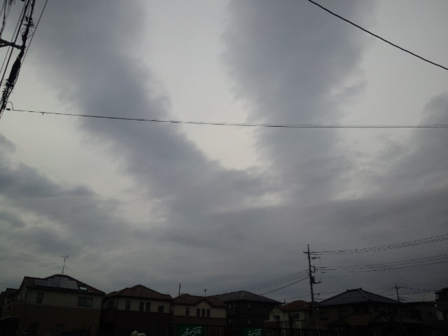 77131.jpg �n�k�_