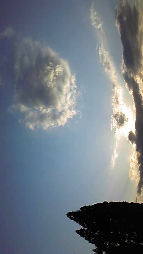 80477.jpg �n�k�_