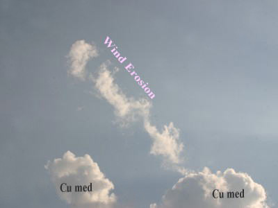 86632.jpg nk_