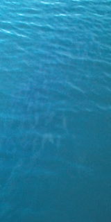 86991.jpg �n�k�_