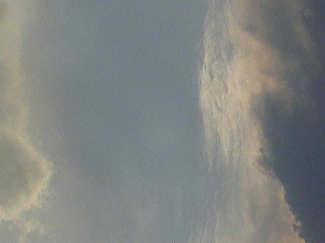 87035.jpg nk_