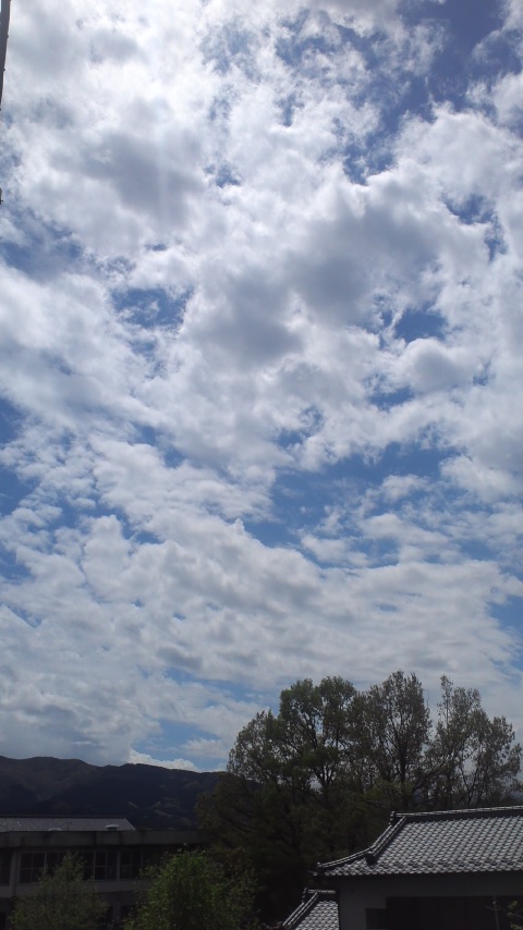 87041.jpg nk_