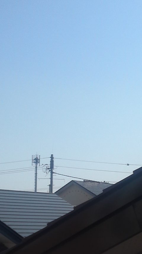 87079.jpg nk_