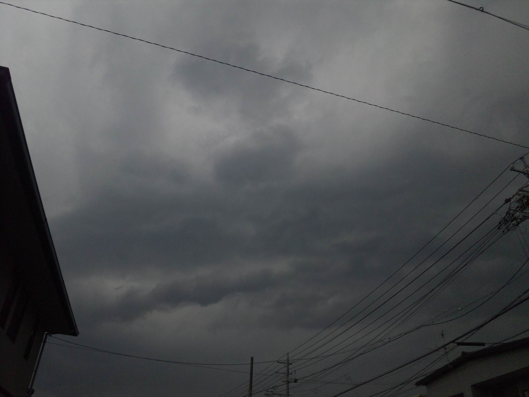 87143.jpg �n�k�_