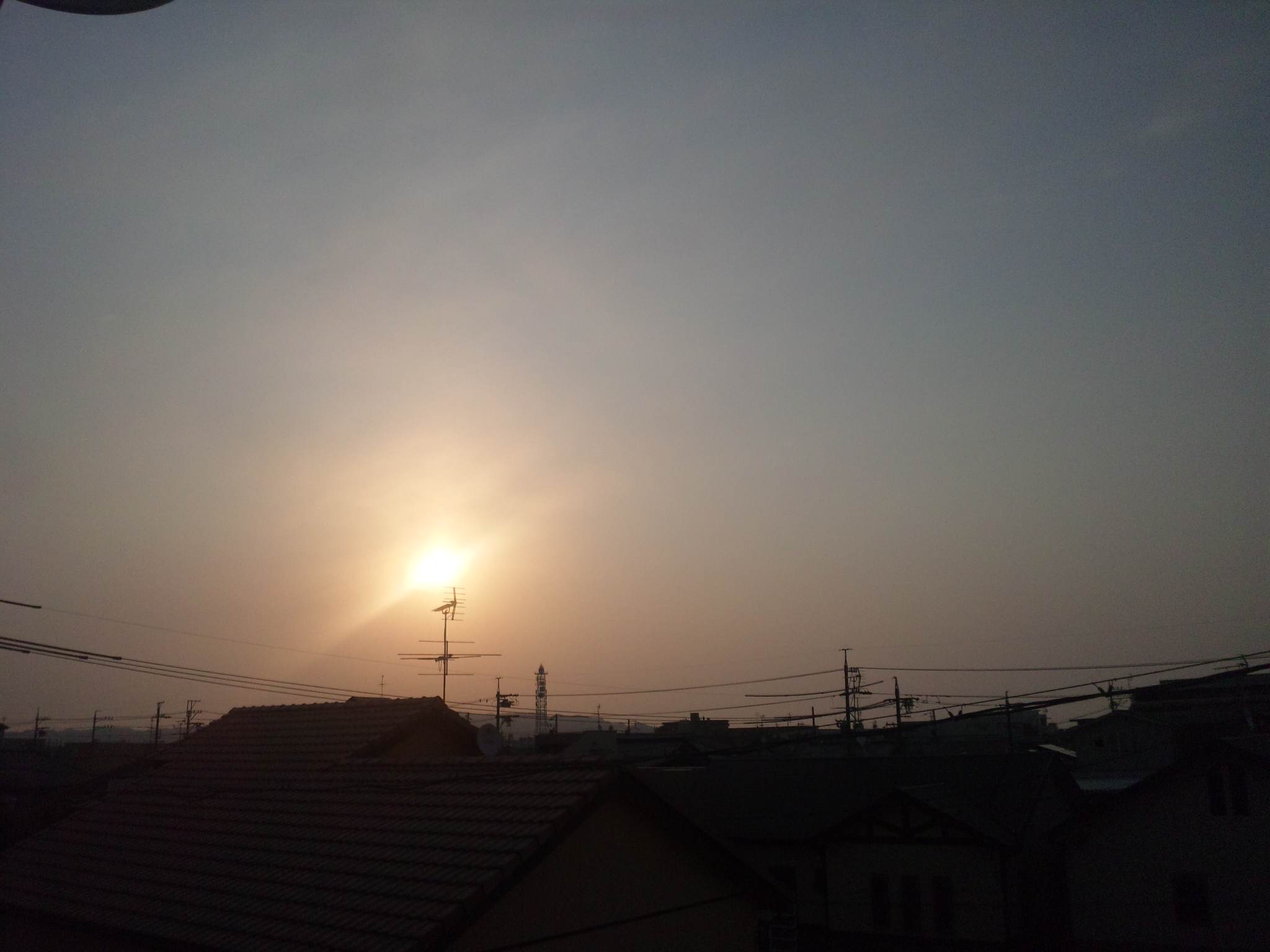 87216.jpg nk_