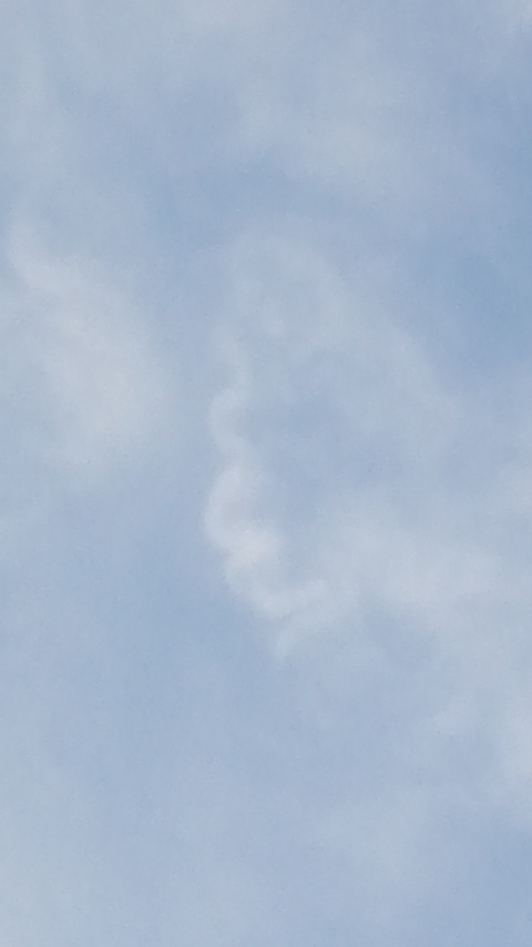 87315.jpg nk_
