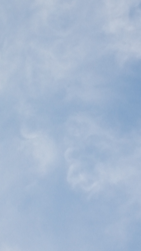 87316.jpg �n�k�_