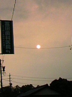 87333.jpg nk_
