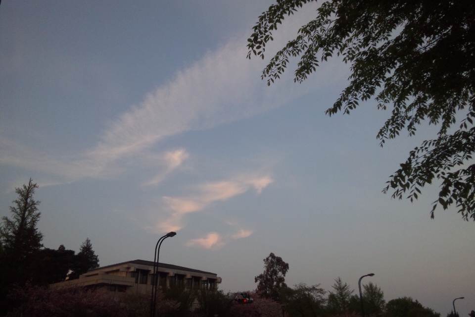 87363.jpg nk_