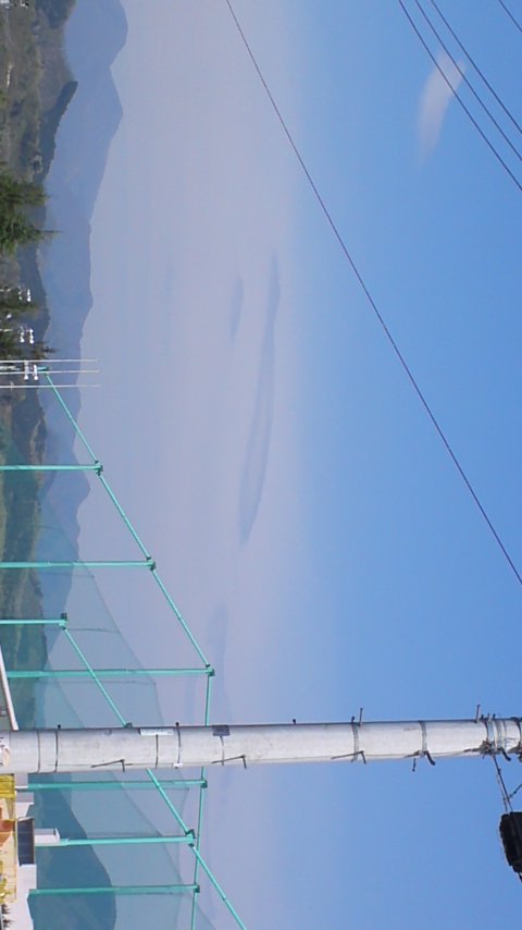 87366.jpg nk_