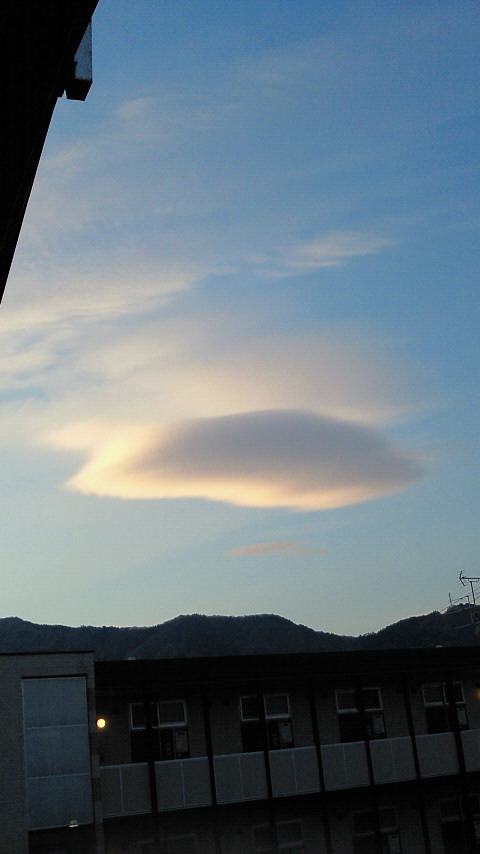 87437.jpg �n�k�_