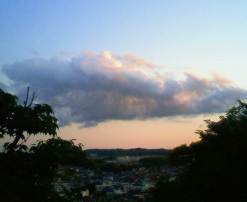 88022.jpg nk_