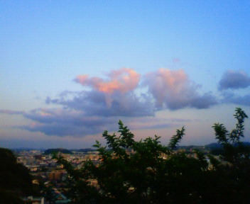 88023.jpg nk_