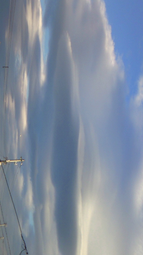 88035.jpg �n�k�_