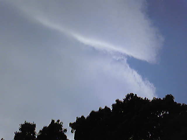 88039.jpg �n�k�_