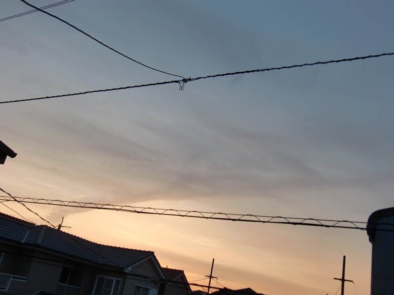 88090.jpg nk_