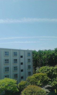 88122.jpg nk_