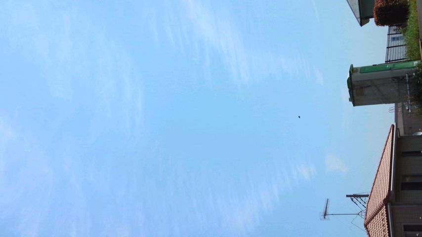 88125.jpg �n�k�_