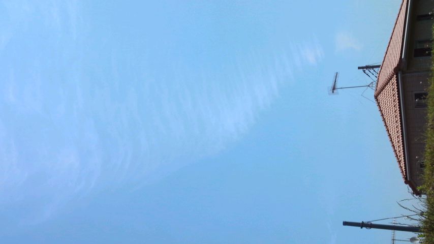 88127.jpg nk_