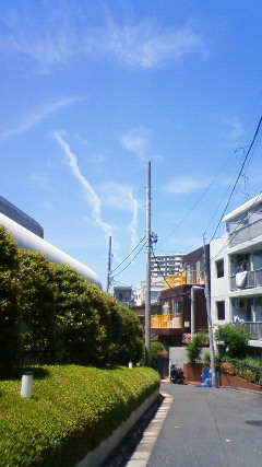 88146.jpg nk_