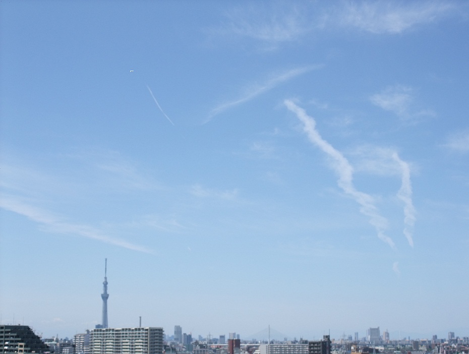 88152.jpg nk_