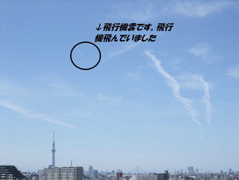 88159.jpg nk_
