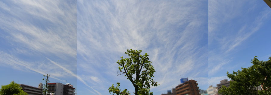 88183.jpg nk_