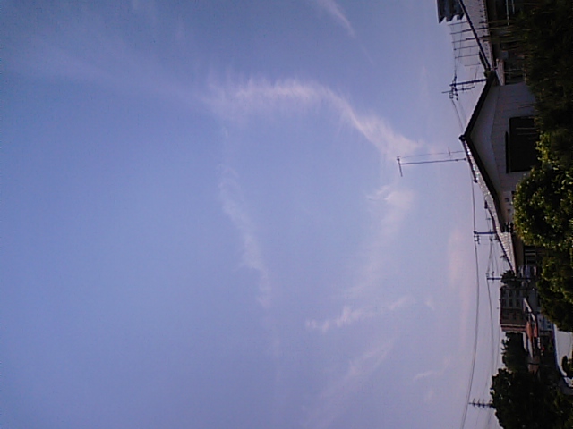 88194.jpg nk_