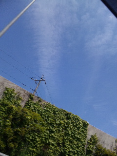 88200.jpg �n�k�_