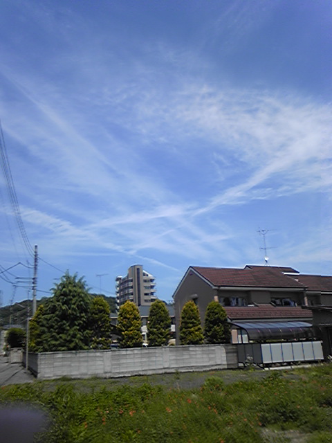 88249.jpg nk_