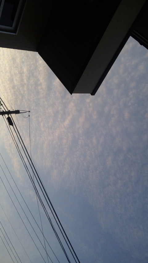 88603.jpg nk_