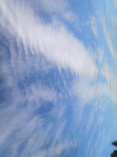 88690.jpg nk_