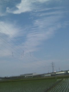 88727.jpg �n�k�_