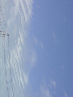 88741.jpg �n�k�_