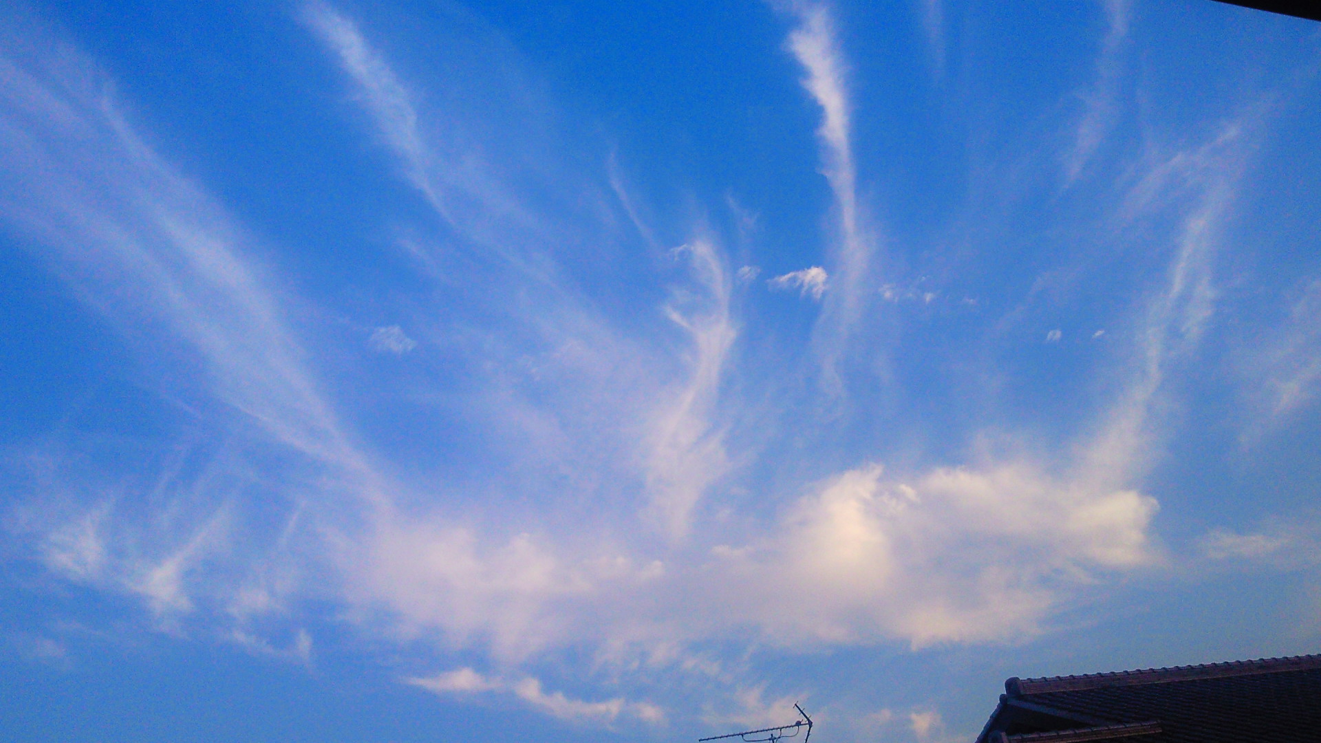 88757.jpg �n�k�_